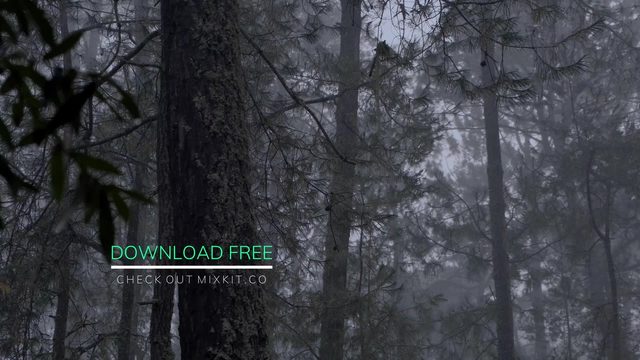 Free DaVinci Resolve 16 Fusion Lower Third: Line Drop (Mixkit)